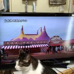 ペットログとはなんぞや？