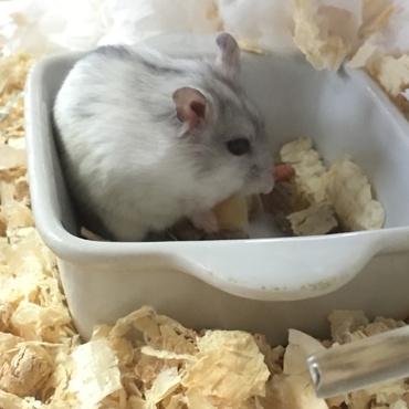 ほっぺいっぱい(ノ)•ω•(ヾ)