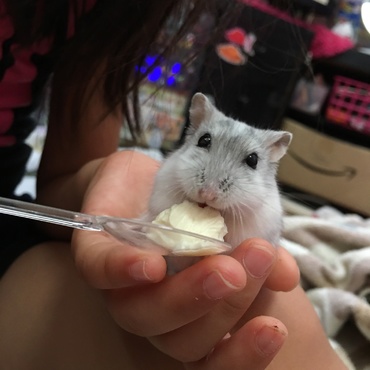 笑ってる笑ってる(*´艸`*)♬