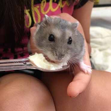 豆腐好きすぎてよく目が飛びでるうみくん（笑）