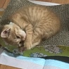 遊ぶ前に体操中(*´∇｀*)