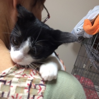 フレンドリーを絵に描いたようなポンくん♫