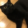 ブルー☆ルリアン(保護活動者)