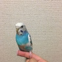 多数のご応募ありがとうございました！