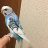多数のご応募ありがとうございました！ サムネイル2