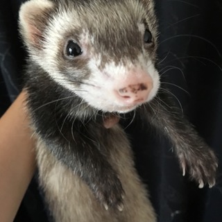 応募ありがとうございました