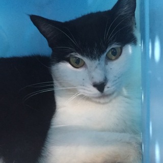 センターより引出されました！有り難うございました。