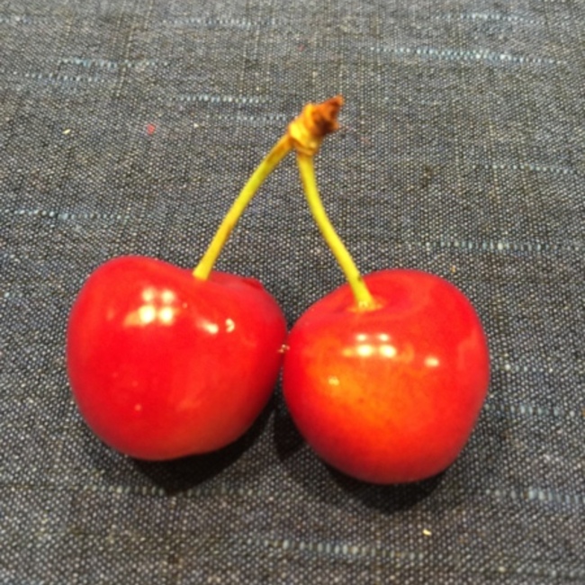 Nagachinのカバー写真