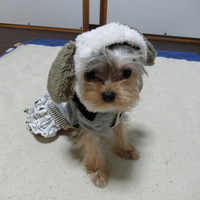 クロエ