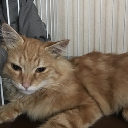 仮名 ぽんた&仮名メイ