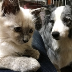 「仮名 ぽんた&仮名メイ」サムネイル3