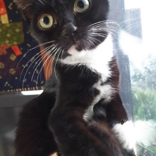 ゴロすり甘々男の子