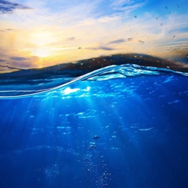 青二歳のカバー写真