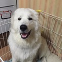 お願いします。