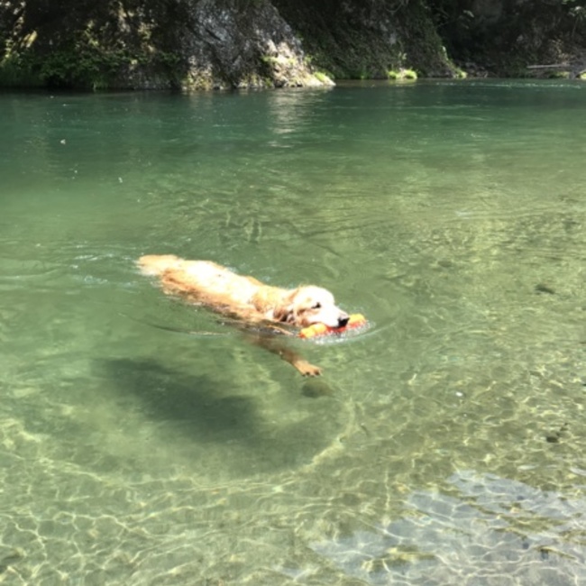 チャロルンのカバー写真