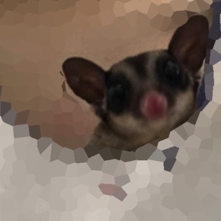  応募者多数の為休止します。ありがとうございます