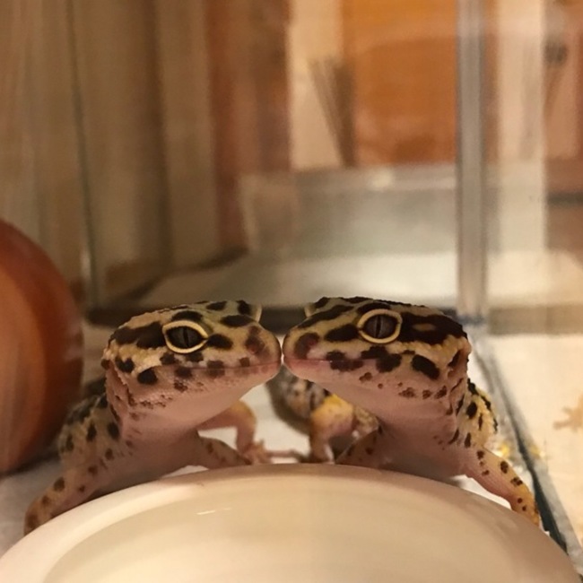 J丸さんのカバー写真