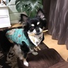 八ツ橋苺