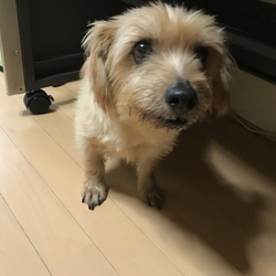 家族になって１年が経ちました。