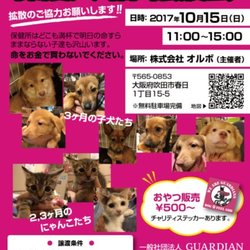 ｵﾙﾎﾞ譲渡会