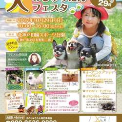 犬のじゅうたんﾌｪｽﾀ-2017 秋-