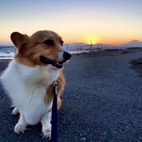シオン