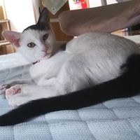 心衣美（みぃみ）