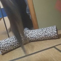 「跳べ、跳ぶんだ、雅(みやび)さん」サムネイル1