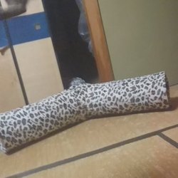 「跳べ、跳ぶんだ、雅(みやび)さん」サムネイル2