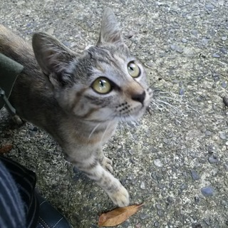 無事に決まりました！