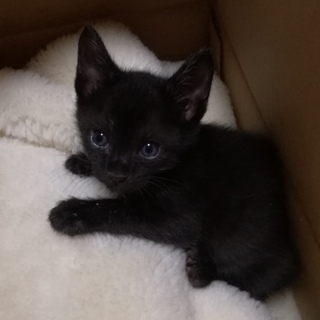 素敵な家族がみつかりました♪