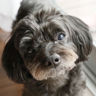 良いご縁に繋がりました。