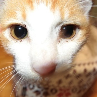 ♡おとなしい男の子です。♡