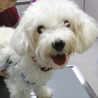 素敵な家族ができました、ありがとうございました♪