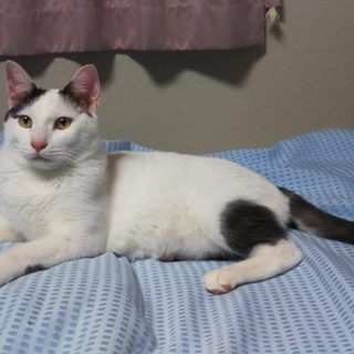 甘えん坊のだいちゃん