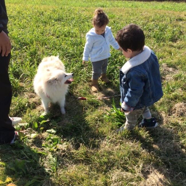 MioPのカバー写真