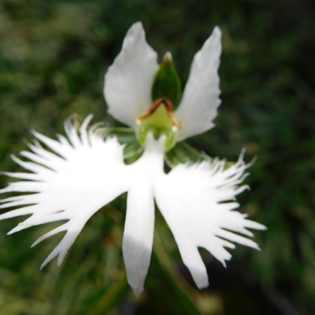 孝昭のカバー写真