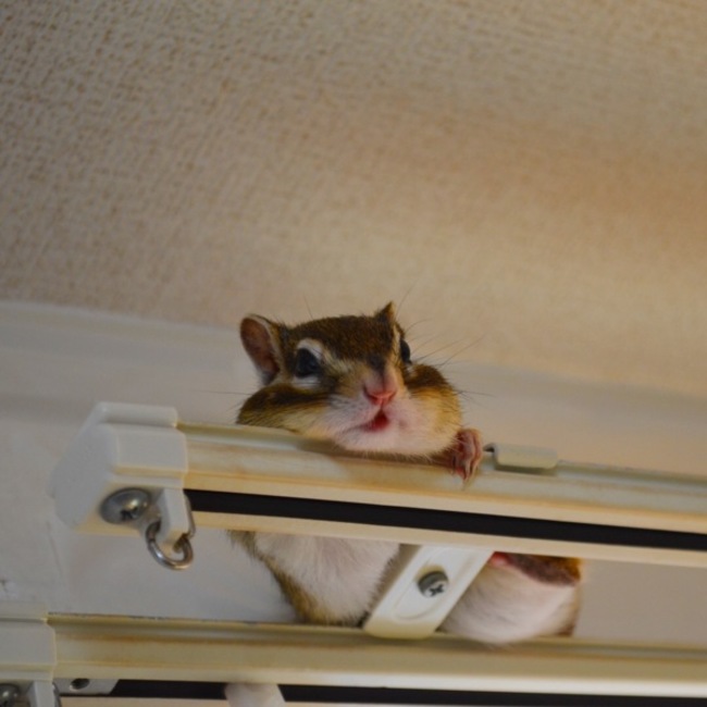 maru＊のカバー写真