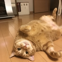 ちくわ
