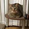 若葉ちゃん