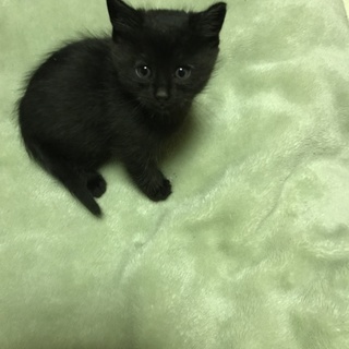 9月16日に生まれました✨