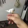 アンデルセンの里親