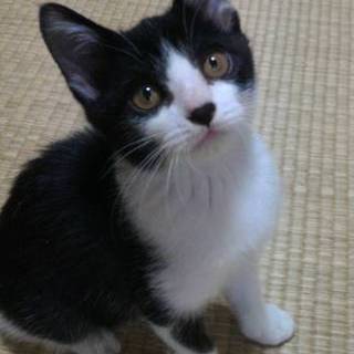 性格はなまる天使君♡