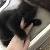  さん