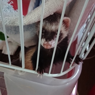 応募してくださった方ありがとうございました！