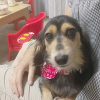 榎本ココ