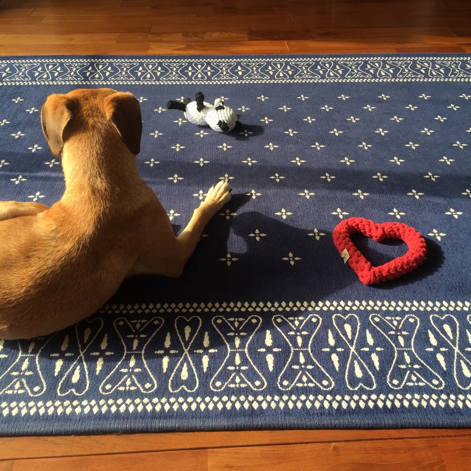 ペルのカバー写真