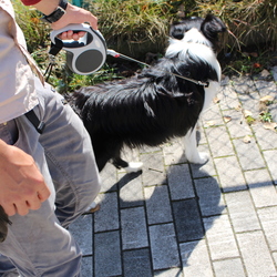 「軽井沢アウトレット」サムネイル3