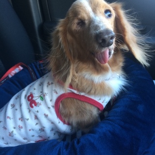 全てを受け入れてください