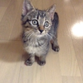 急募!!　会社に現れた可愛い男の子♪